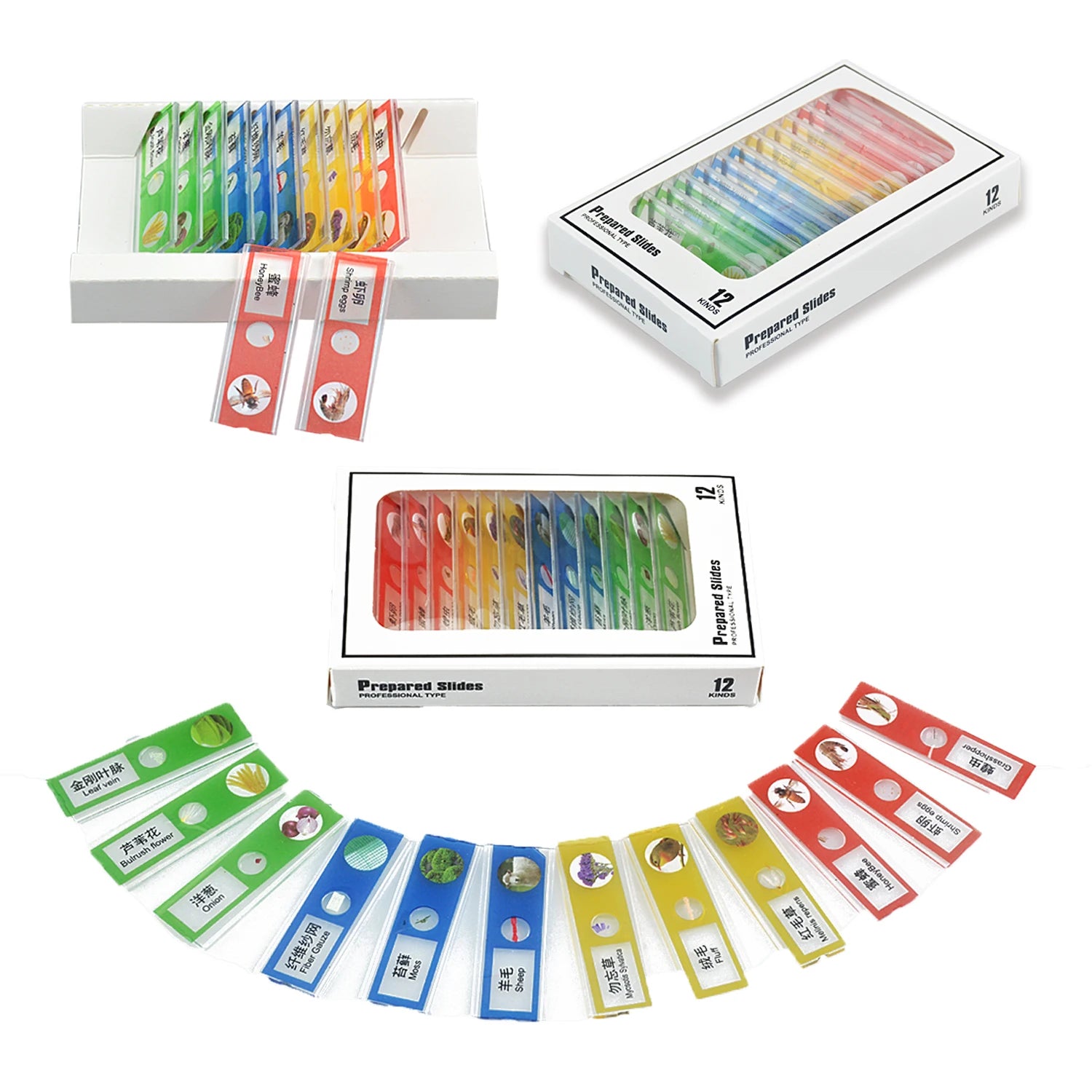 CowLost | product_id-mini-handheld-microscope-toy-kit-with-led-lights-and-2-ag13-batteries-science-gift-for-kids |5