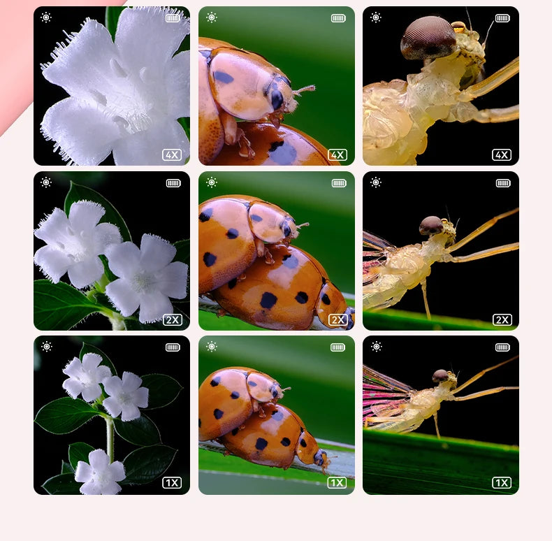 CowLost | baby-transport-accessories-inskam-portable-handheld-digital-kids-microscope-educational-toy |11