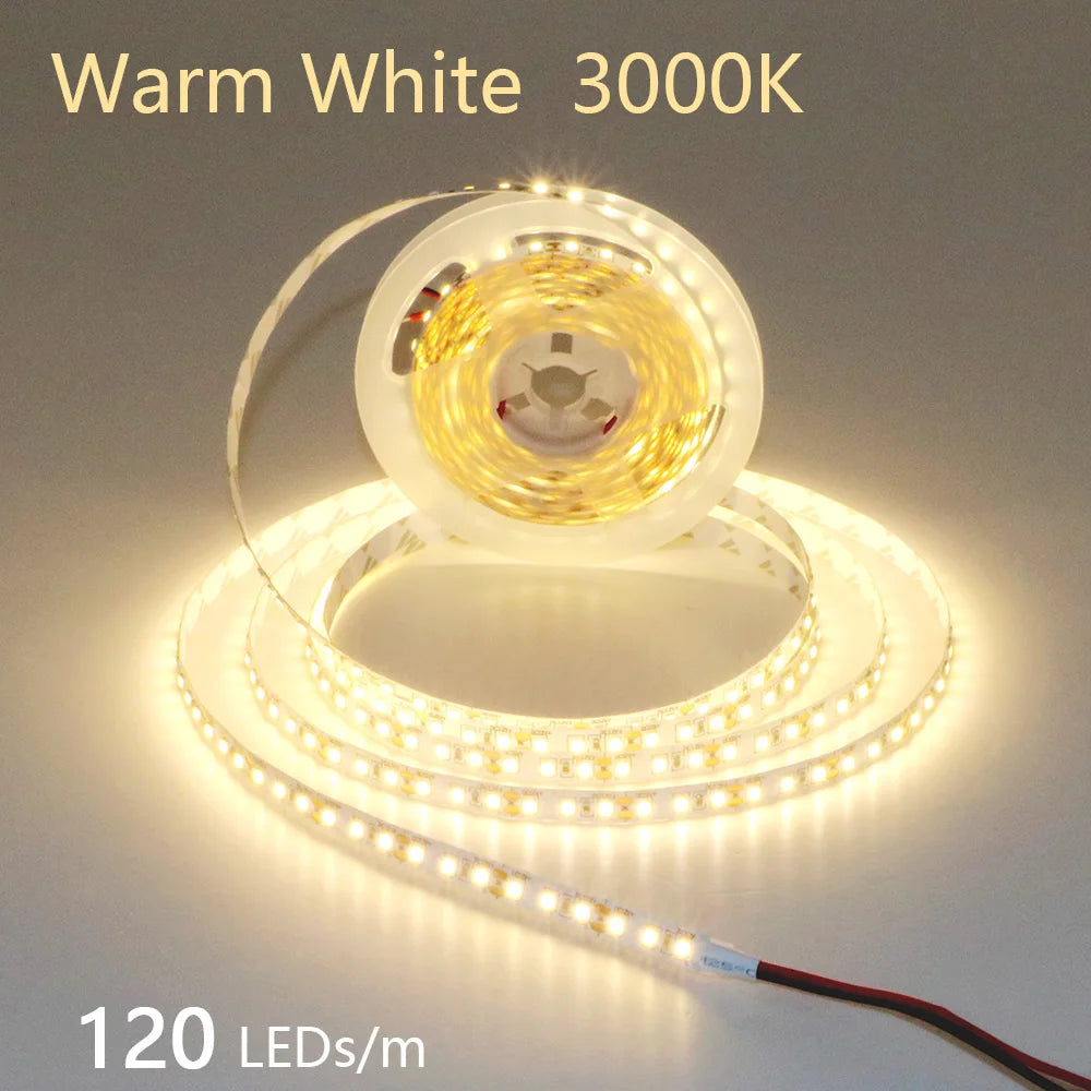 CowLost | 2835-5m-300-600-1200leds-led-strip-dc12v-24v |28
