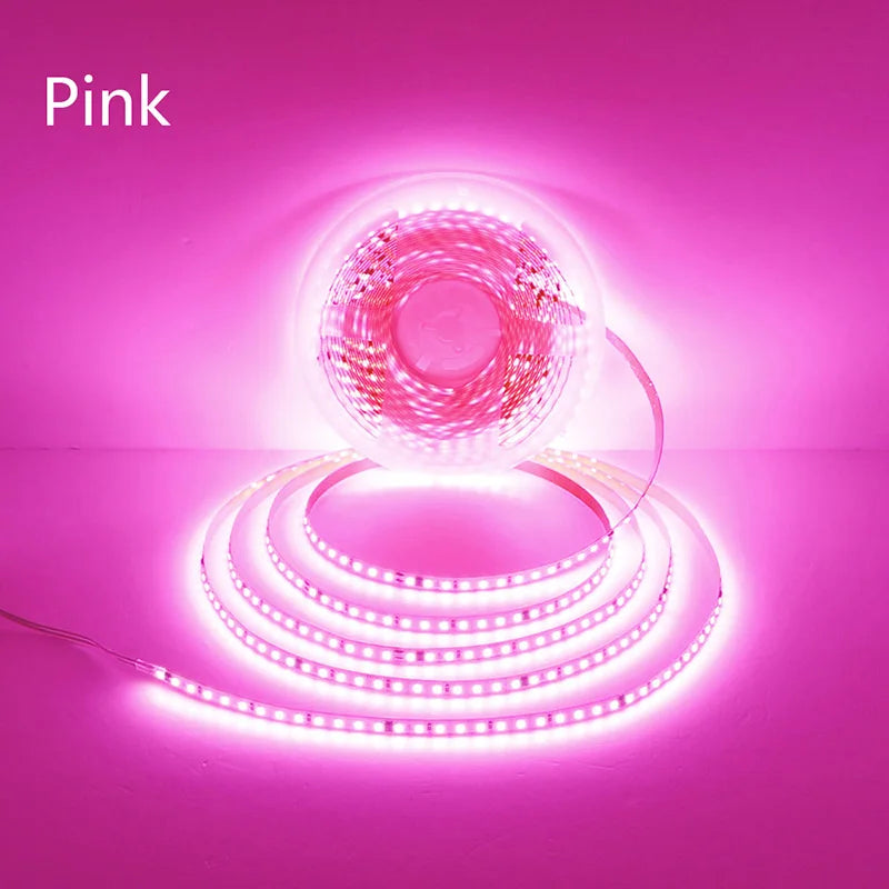 110V 220V LED Strip 2835 120LEDs/m Home Lamp Strip