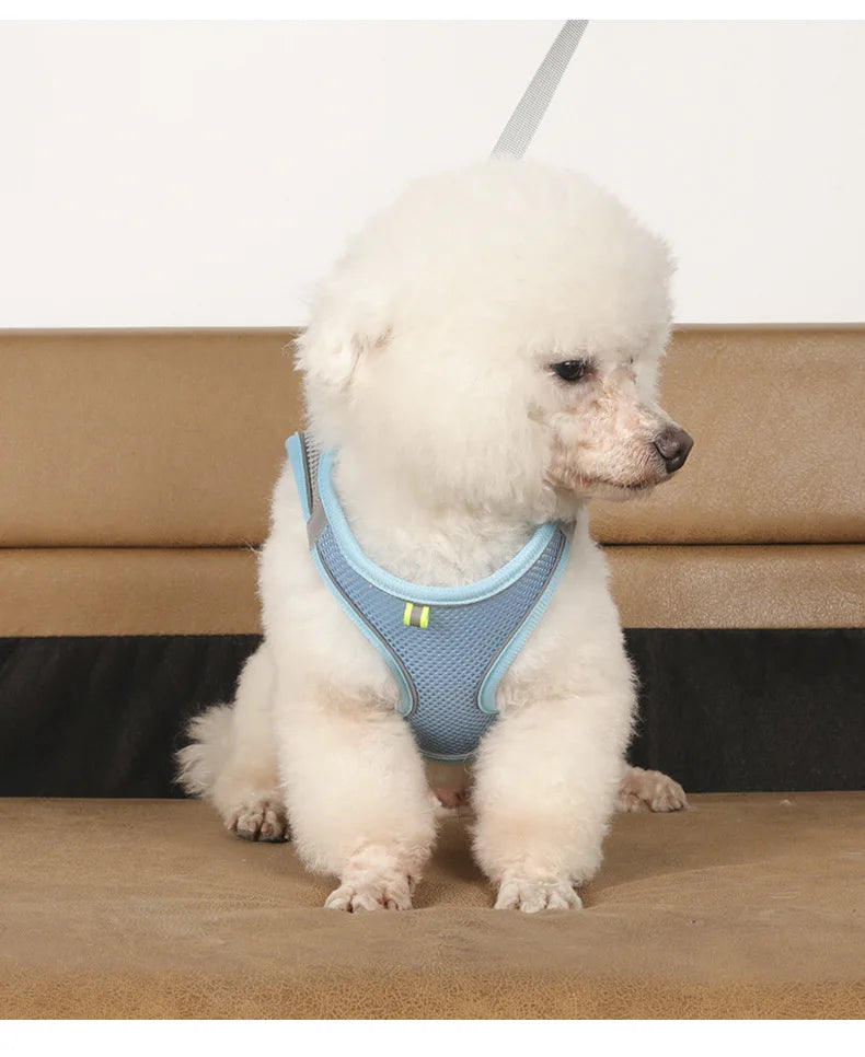 CowLost | dog-diapers-adjustable-harness-and-leash-set-for-small-dogs |13
