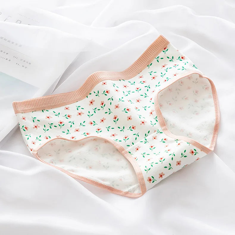 CowLost | product_id-ollymurscn-women-low-waist-cotton-briefs-cherry-print-m-xl |19
