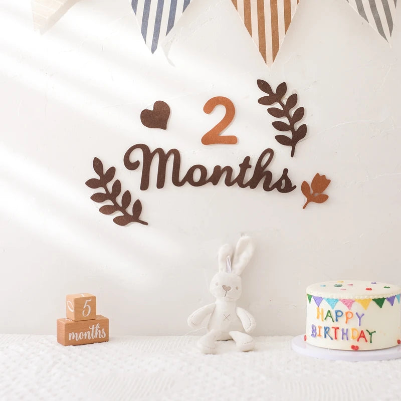CowLost | baby-transport-accessories-felt-newborn-photography-milestone-props-0-12-months |11