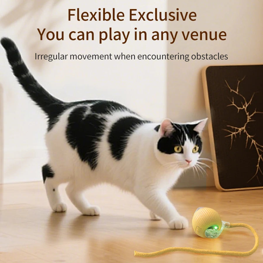 CowLost | product_id-rechargeable-automatic-rolling-ball-interactive-toy-for-cats-and-dogs |4