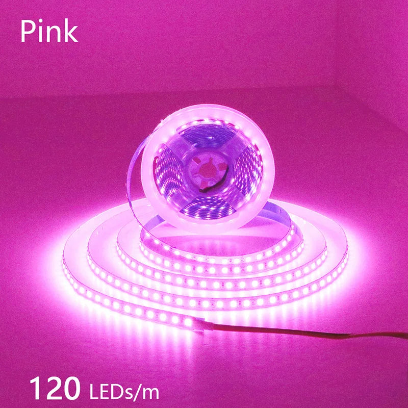 CowLost | 2835-5m-300-600-1200leds-led-strip-dc12v-24v |52