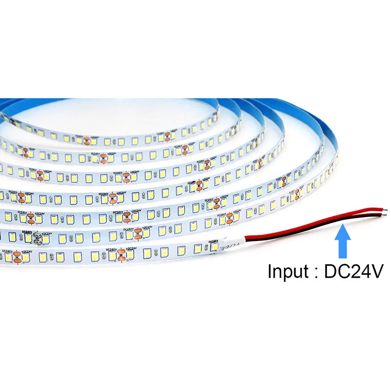 CowLost | single-strip-5m-10m-15m-20m-long-led-strip-dc24v-120leds-m |3