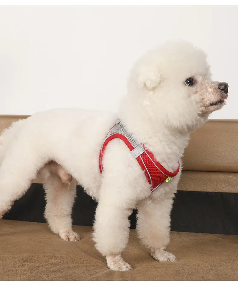 CowLost | dog-diapers-adjustable-harness-and-leash-set-for-small-dogs |16