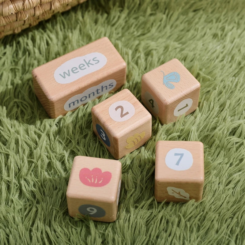 CowLost | baby-transport-accessories-baby-monthly-milestone-blocks-photo-prop-set-unisex-age-signs |8