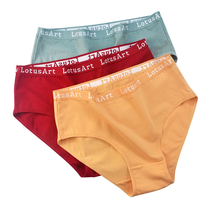 CowLost | product_id-6pcs-women-s-high-rise-seamless-cotton-briefs-m-2xl-solid-colors |9