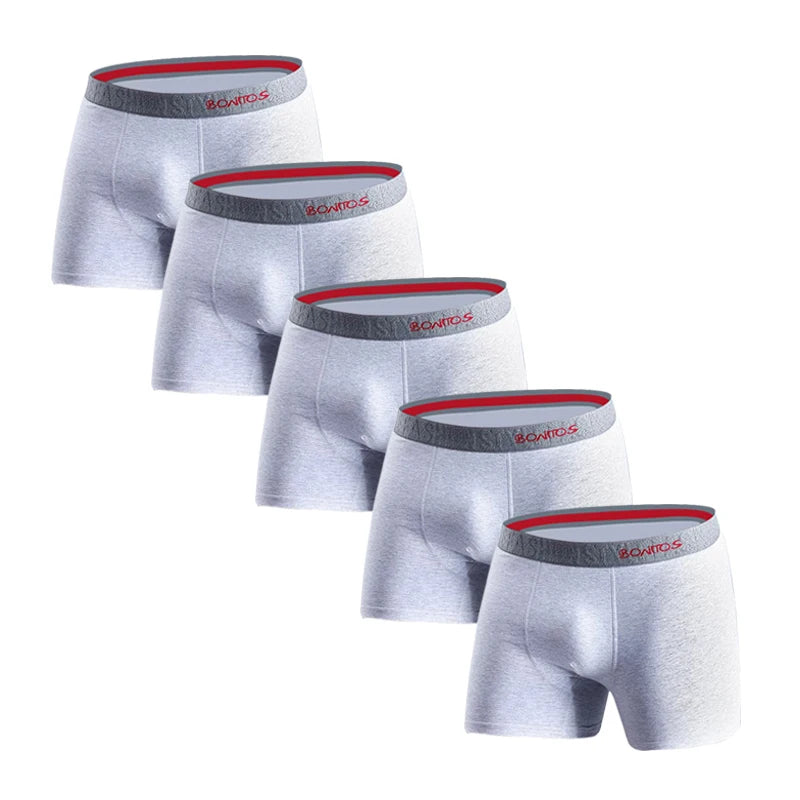 CowLost | 5pcs-sexy-underwear-for-man-cotton-underpants |14