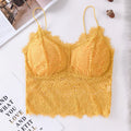 CowLost | product_id-wireless-floral-lace-push-up-bra-with-removable-pads-solid-bralette-for-women |20