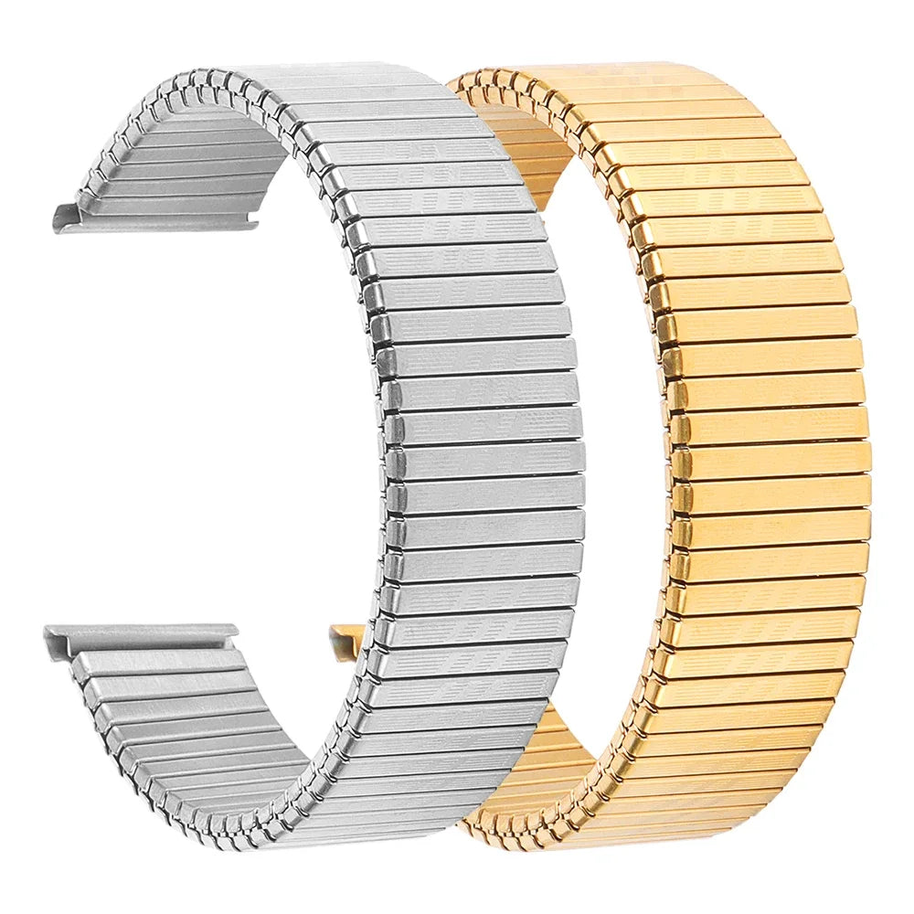 CowLost | product_id-stainless-steel-elastic-spring-telescopic-watchband-for-rolex-and-seiko-unisex |4