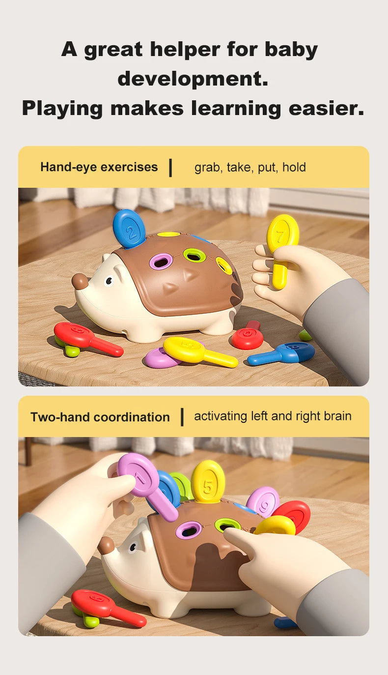 Montessori Baby Hedgehog Sensory Fine Motor Educational Toy for Kids