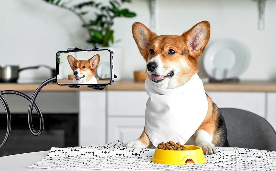 CowLost | ugreen-phone-holder-stand-arm-lazy-telephone-stand |13