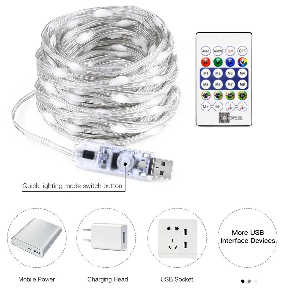 CowLost | product_id-dreamcolor-rgbic-usb-bluetooth-app-diy-led-fairy-string-lights-for-christmas-wedding-party |7