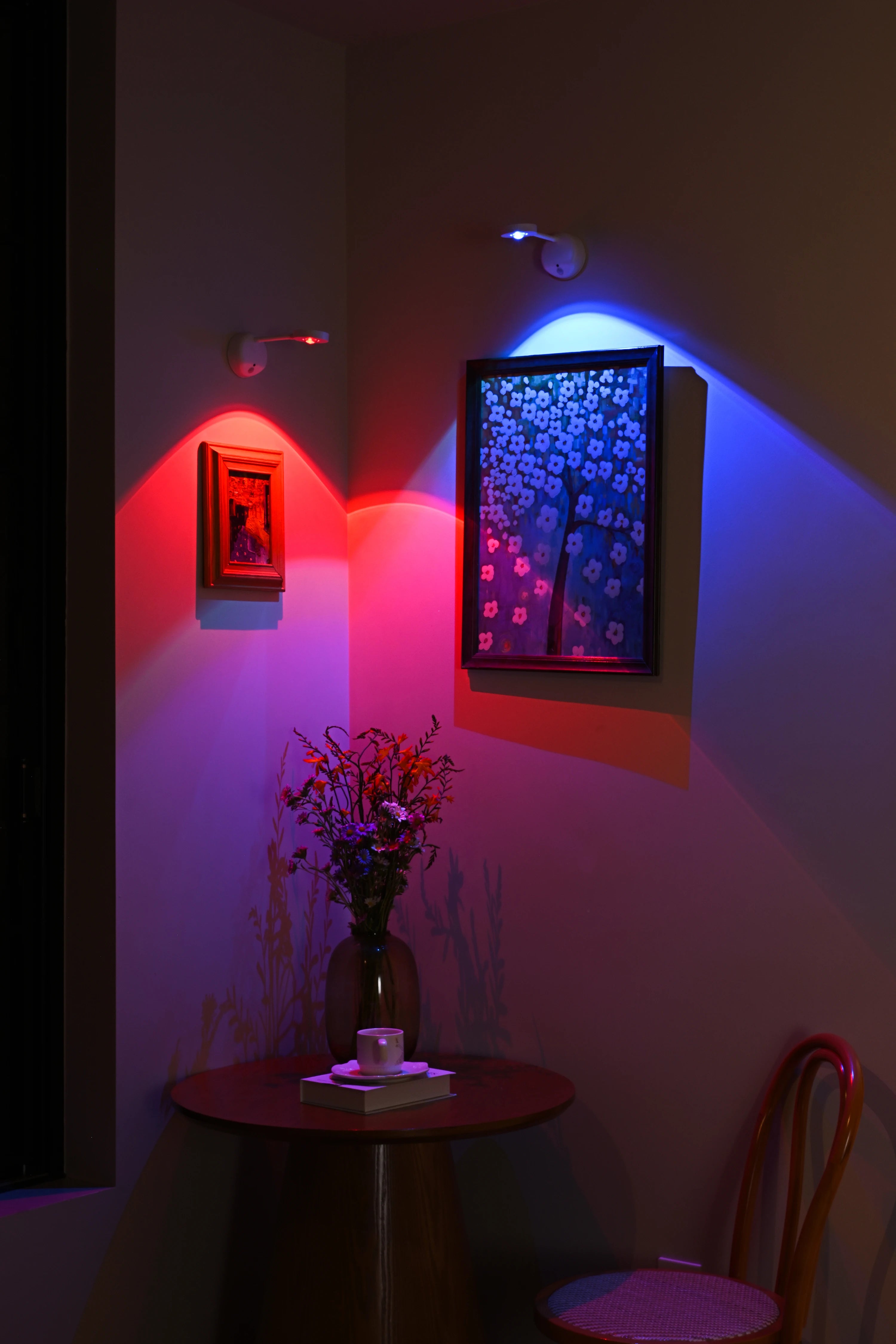 CowLost | product_id-usb-rechargeable-wireless-human-sensing-dimmable-rgb-led-wall-spotlight-for-paintings |23