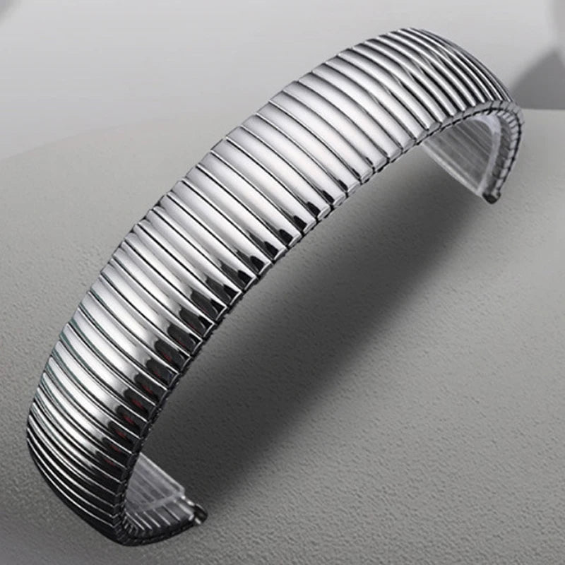 CowLost | product_id-universal-adjustable-stainless-steel-silver-gold-elastic-watchband-for-rolex |20