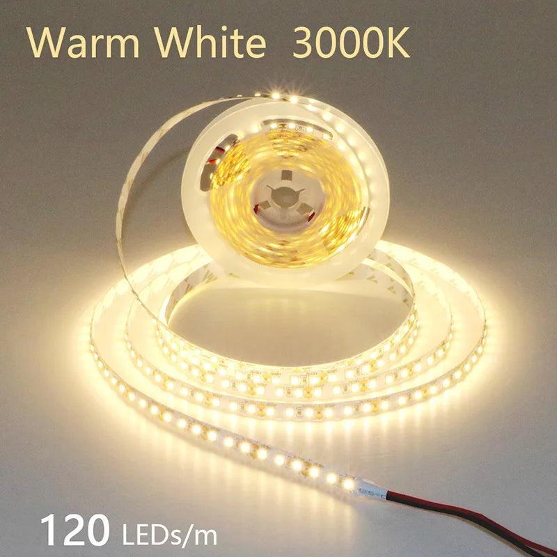 CowLost | 2835-5m-300-600-1200leds-led-strip-dc12v-24v |58