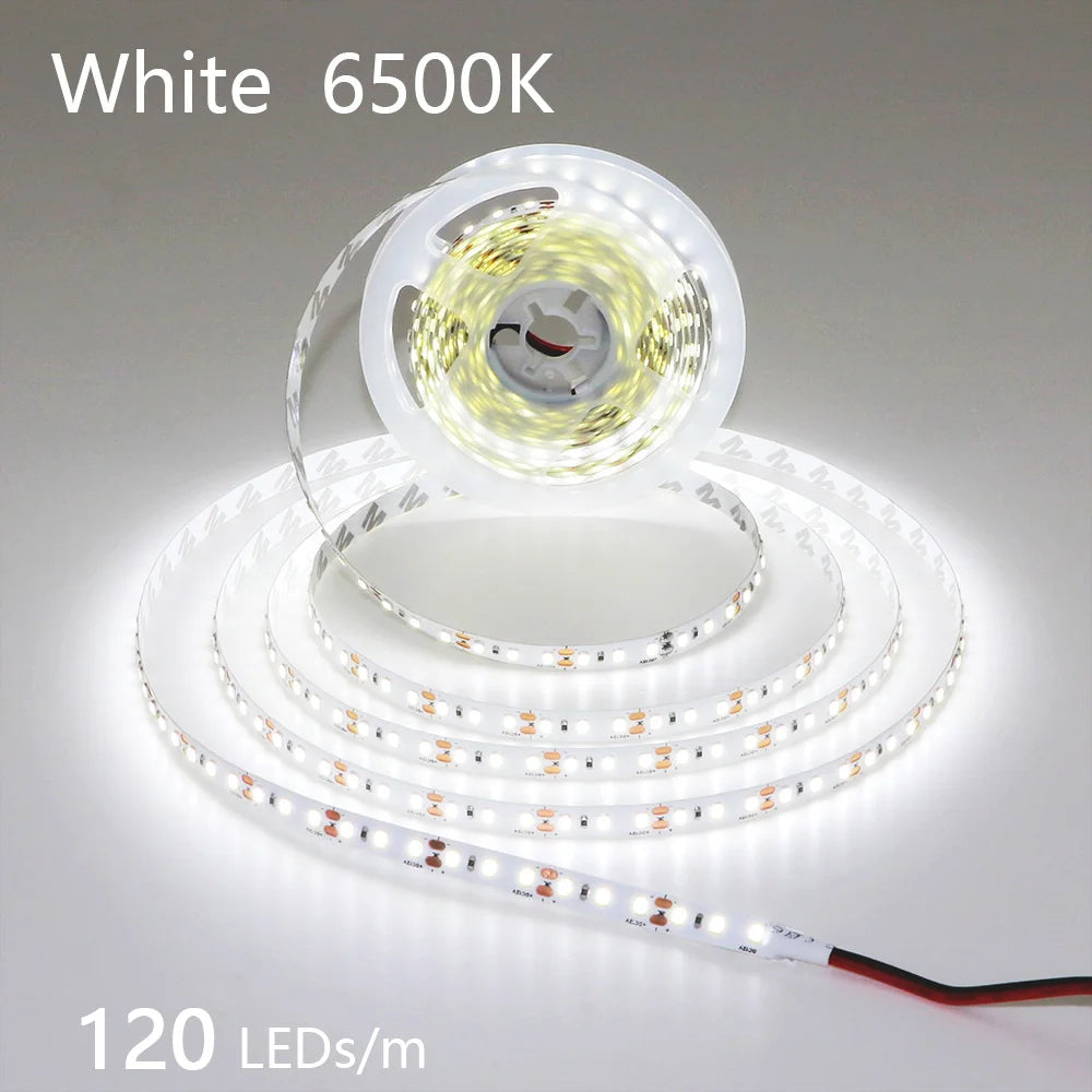 CowLost | 2835-5m-300-600-1200leds-led-strip-dc12v-24v |26