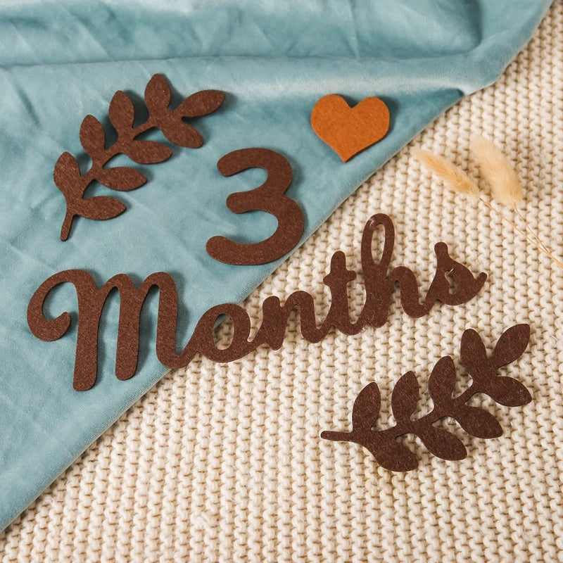 CowLost | baby-transport-accessories-felt-newborn-photography-milestone-props-0-12-months |15