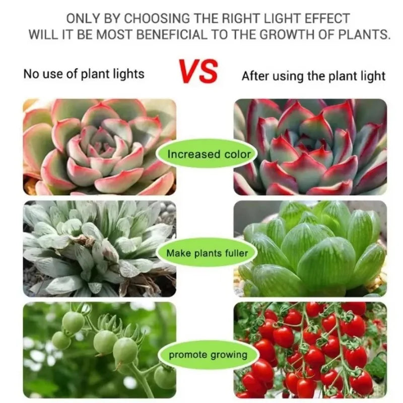 CowLost | led-grow-lights-product_id-full-spectrum-usb-5v-led-grow-light-for-seedlings-and-indoor-plants |2