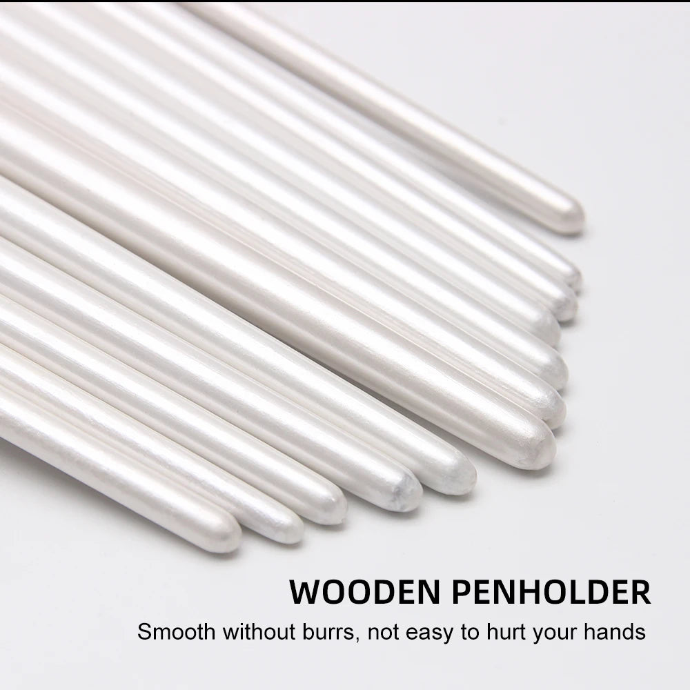 12-Piece Nylon Bristle Brushes Set for Beginners