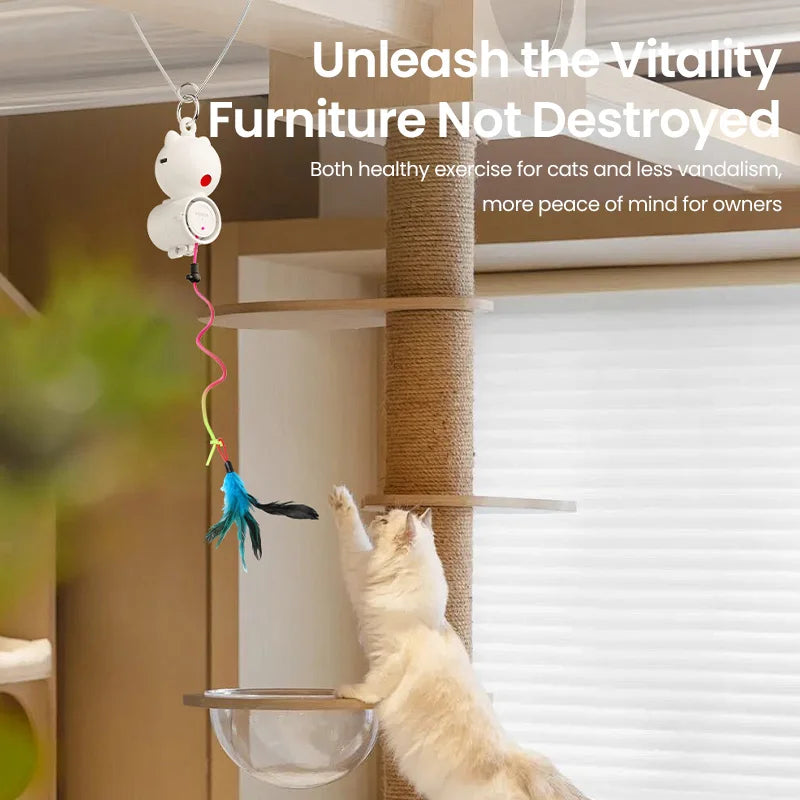 CowLost | rojeco-automatic-cat-toys-interactive-2-in-1 |5