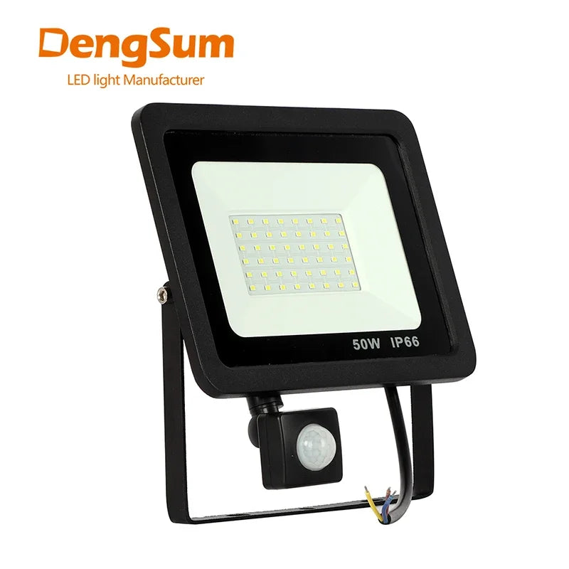 10W 20W 30W 50W 100W Induction Led flood light With Adjustable PIR Sensor