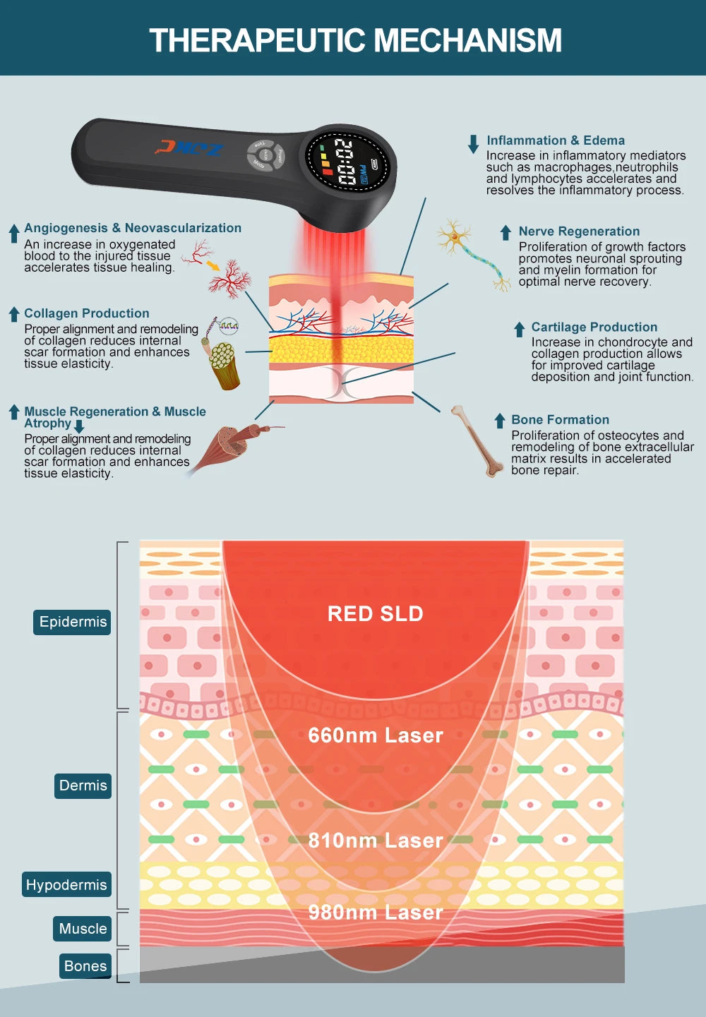 CowLost | cold-laser-chiropractic-treatment-660nmx16-810nmx4-980nmx4-knee-and-spine |10