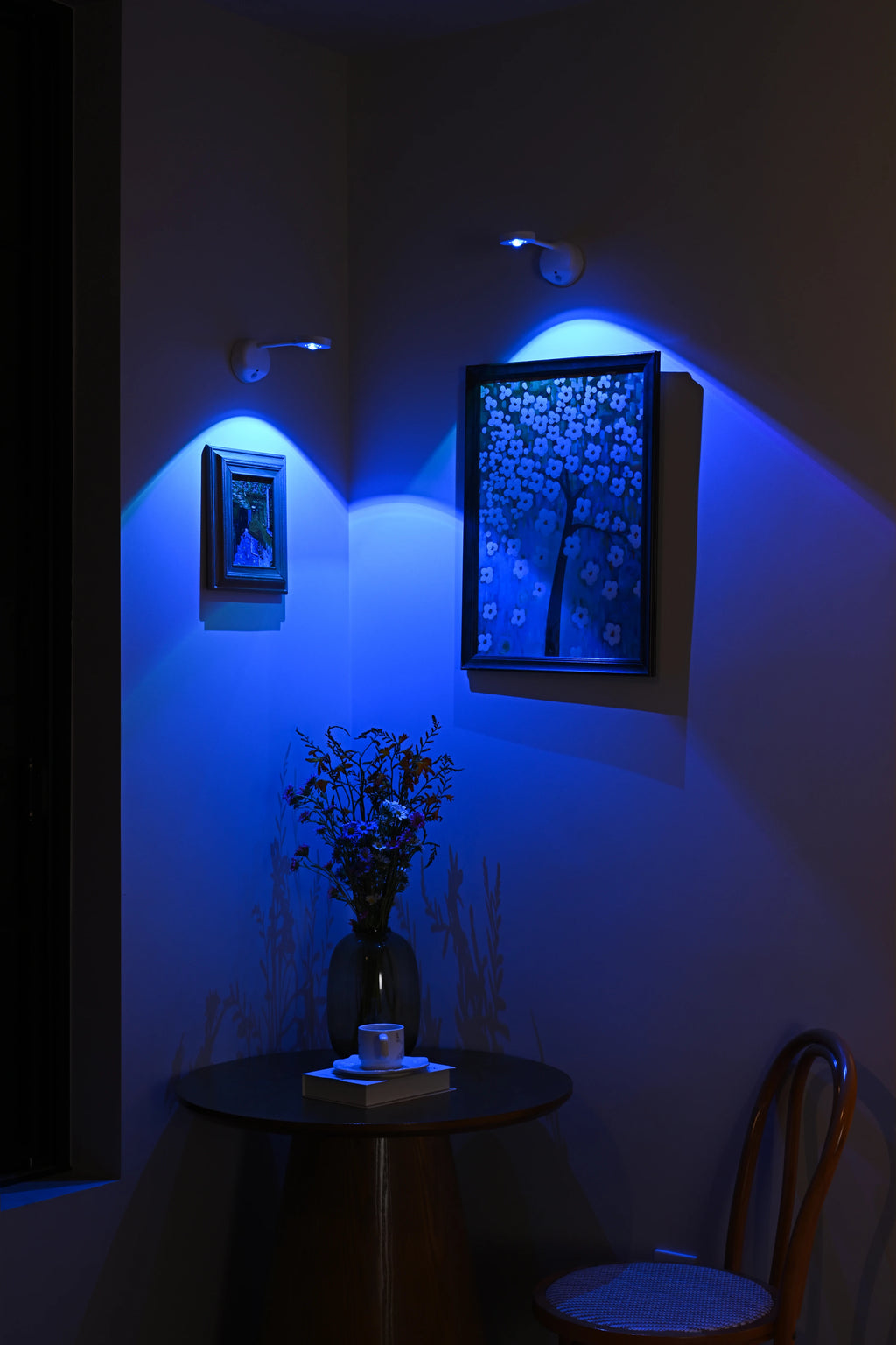 CowLost | product_id-usb-rechargeable-wireless-human-sensing-dimmable-rgb-led-wall-spotlight-for-paintings |22