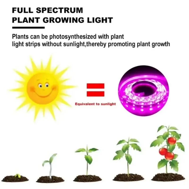 CowLost | led-grow-lights-product_id-full-spectrum-usb-5v-led-grow-light-for-seedlings-and-indoor-plants |3