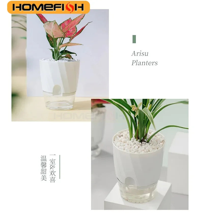 CowLost | product_id-lazy-hydroponic-transparent-double-layer-self-watering-flower-pot |13