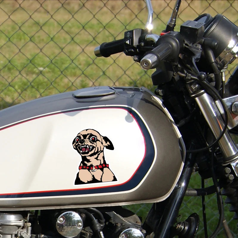 CowLost | angry-chihuahua-car-sticker |3