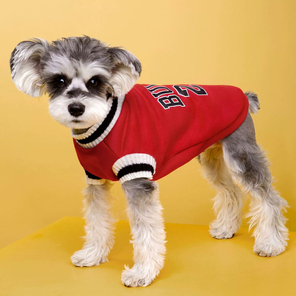 CowLost | activewear-pants-college-style-winter-warm-pet-sweater |6