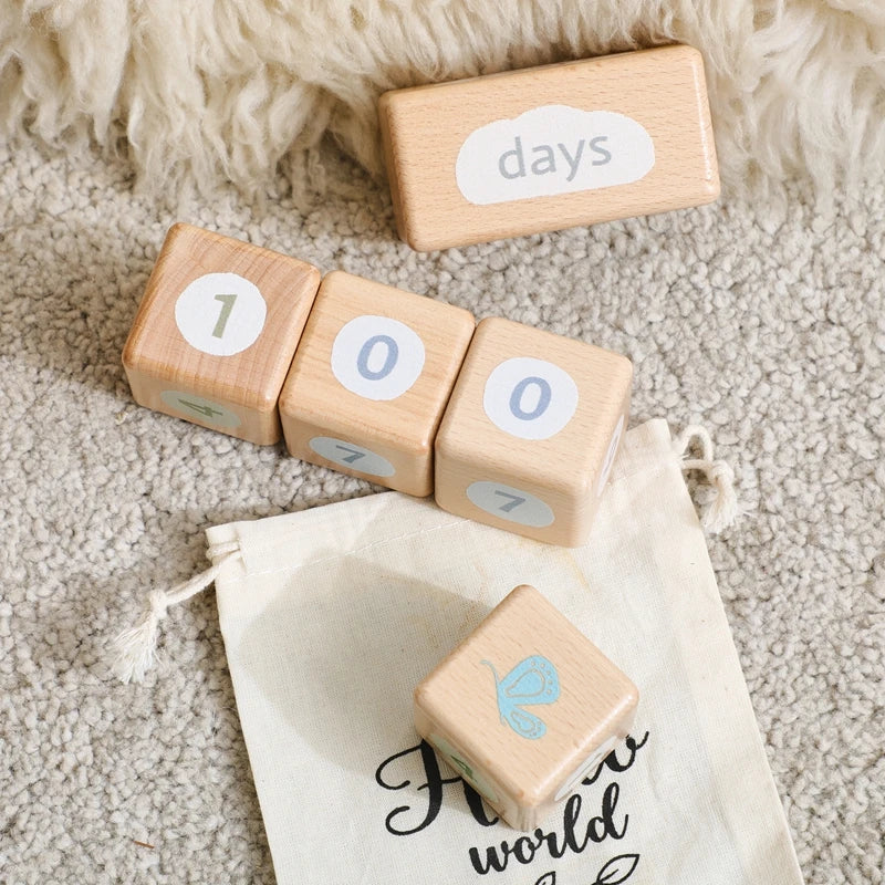 CowLost | baby-transport-accessories-baby-monthly-milestone-blocks-photo-prop-set-unisex-age-signs |12