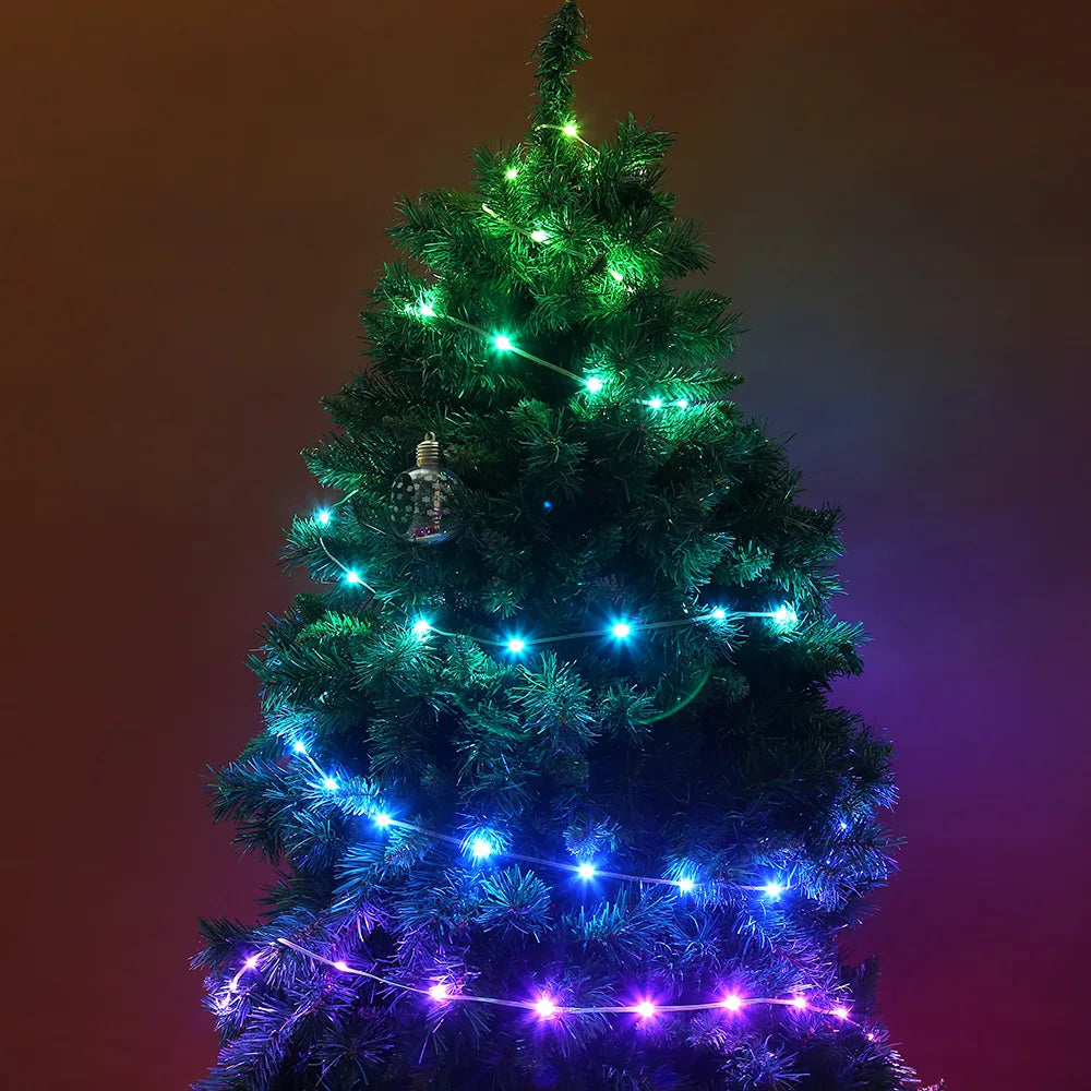 CowLost | product_id-dreamcolor-rgbic-usb-bluetooth-app-diy-led-fairy-string-lights-for-christmas-wedding-party |20