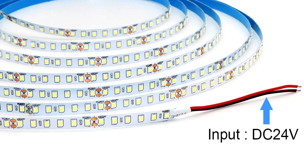 CowLost | single-strip-5m-10m-15m-20m-long-led-strip-dc24v-120leds-m |10