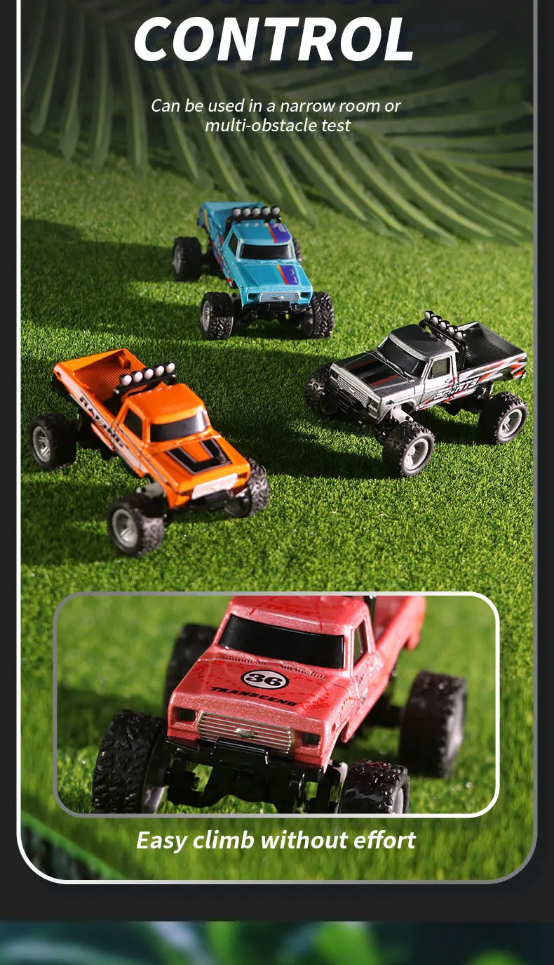 CowLost | fencing-barriers-teranty-1-64-rc-off-road-monster-truck-remote-control-car |13