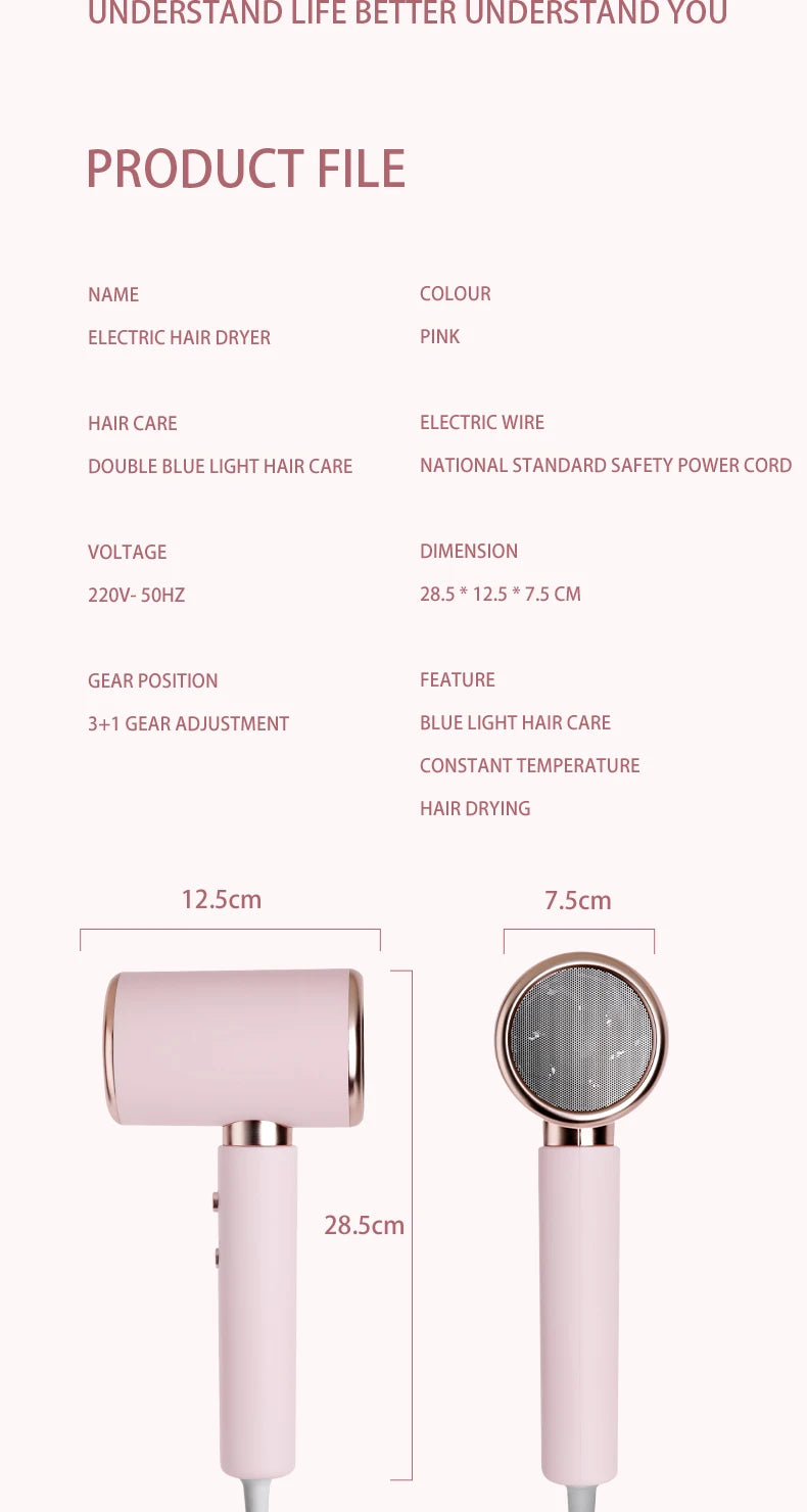 CowLost | product_id-homefish-2000w-professional-5th-gear-negative-ionic-hair-dryer-with-hot-cold-wind |20