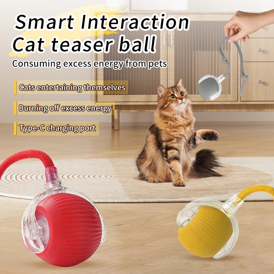 CowLost | product_id-rechargeable-automatic-rolling-ball-interactive-toy-for-cats-and-dogs |11