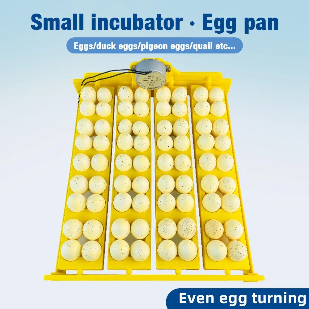 16/24 Eggs Automatic Incubator with Egg Turning AC220V for Chicken and Quail