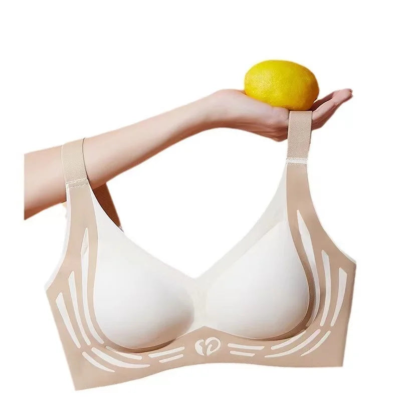 CowLost | product_id-seamless-contrast-push-up-fixed-cup-bra-with-comfortable-back-for-women |4