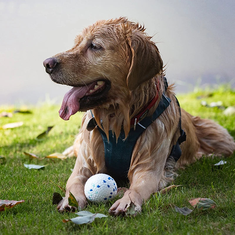 CowLost | dog-kennel-run-accessories-bite-resistant-durable-dog-chew-ball-toy |15