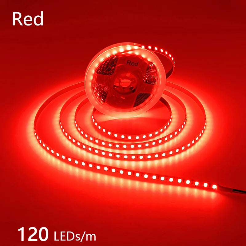 CowLost | 2835-5m-300-600-1200leds-led-strip-dc12v-24v |48