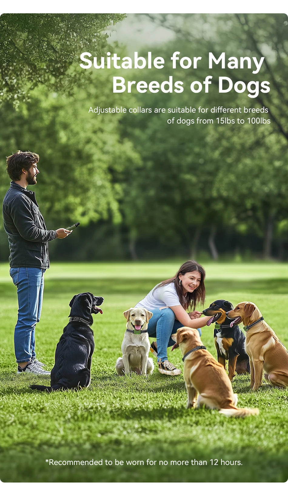 CowLost | dog-diapers-rojeco-ipx7-waterproof-electric-dog-training-collar-with-remote-control |23