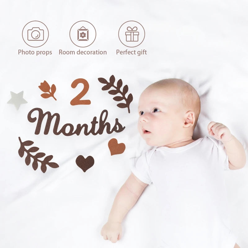 CowLost | baby-transport-accessories-felt-newborn-photography-milestone-props-0-12-months |3