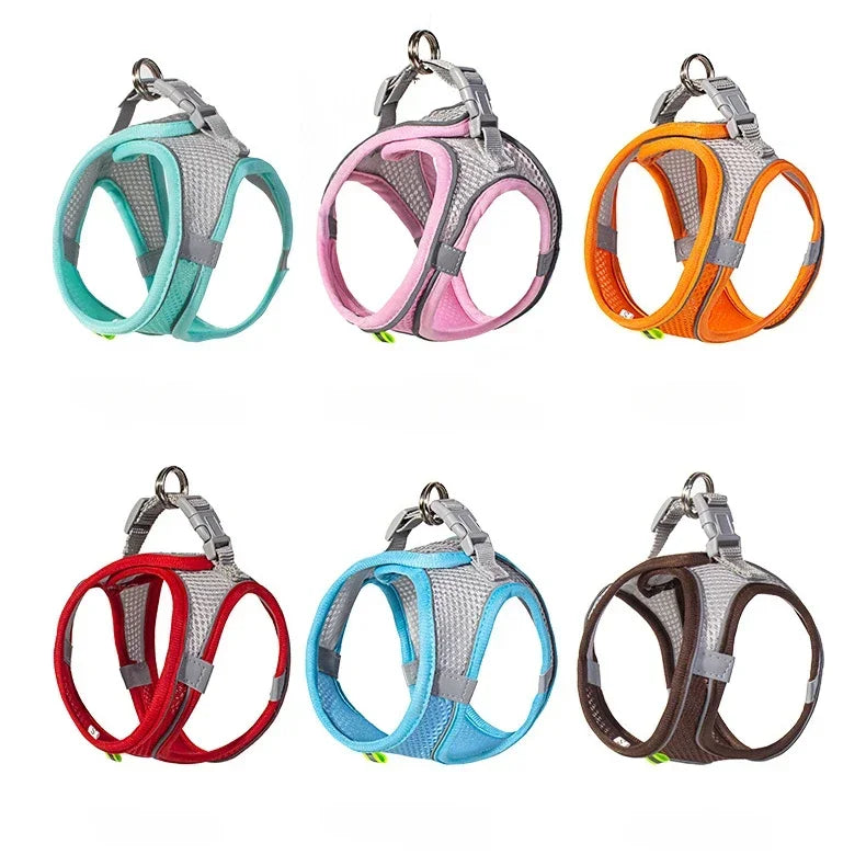 CowLost | dog-diapers-adjustable-harness-and-leash-set-for-small-dogs |1