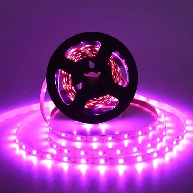 CowLost | led-grow-lights-product_id-full-spectrum-usb-5v-led-grow-light-for-seedlings-and-indoor-plants |10