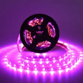 CowLost | led-grow-lights-product_id-full-spectrum-usb-5v-led-grow-light-for-seedlings-and-indoor-plants |10
