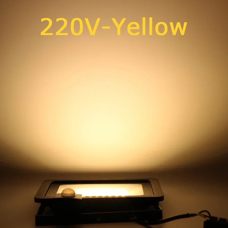 10W 20W 30W 50W 100W Induction Led flood light With Adjustable PIR Sensor